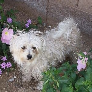 Meet your Posher, Troy